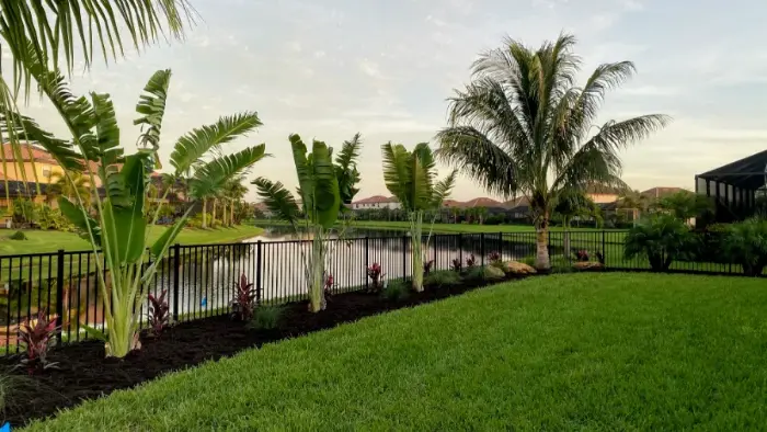 Landscape installation lakewood ranch palms
