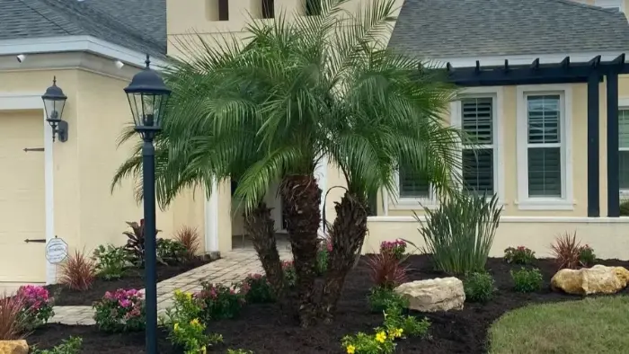 Palm Tree Landscaping Ideas: Indoor and outdoor Palm Paradise Jay