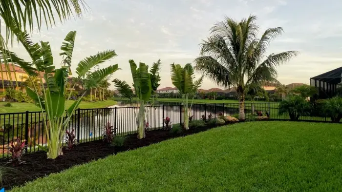 landscape installation lakewood ranch landscape installation palm tree installation