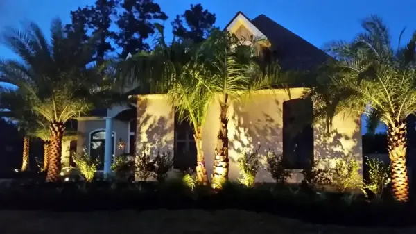 palm lighting lakewood ranch