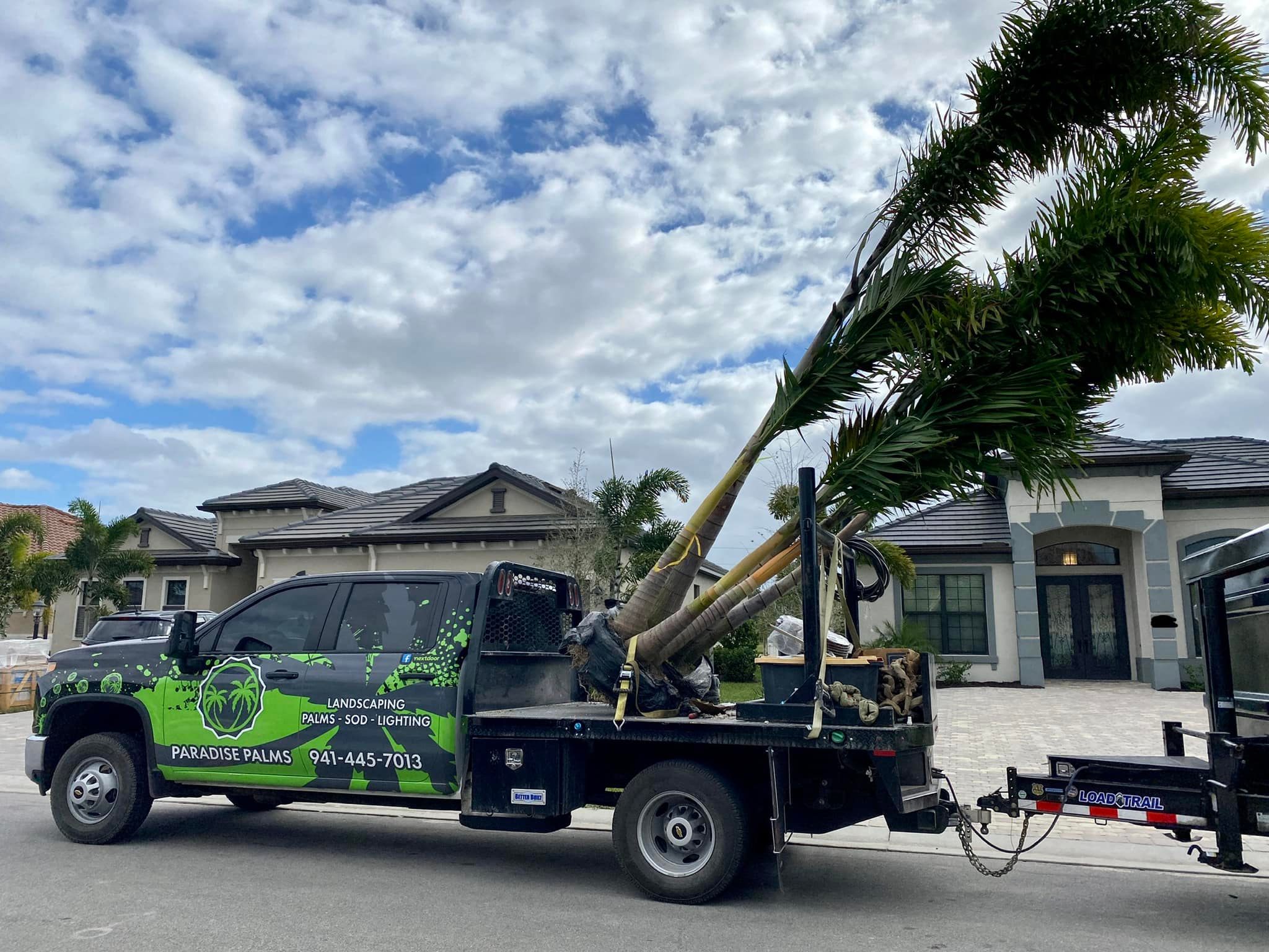 Palm installation Lakewood Ranch front yard with symmetrical palms and clean bed edges