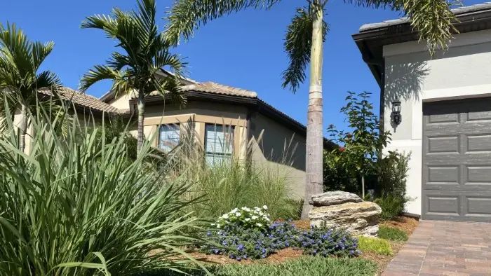 Backyard landscaping in Lakewood Ranch, FL with tropical planting and structure