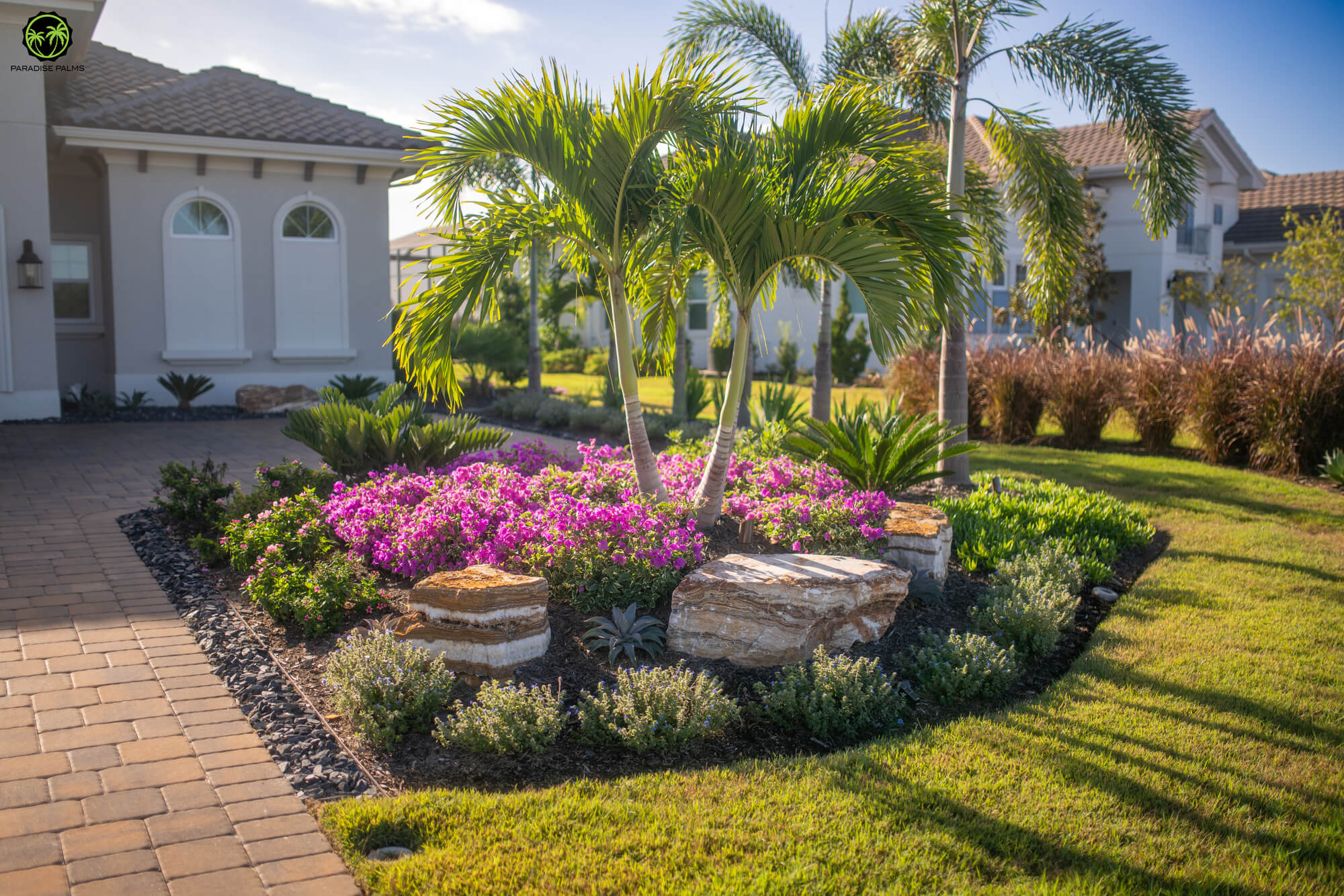 Lakewood Ranch palm tree maitenance