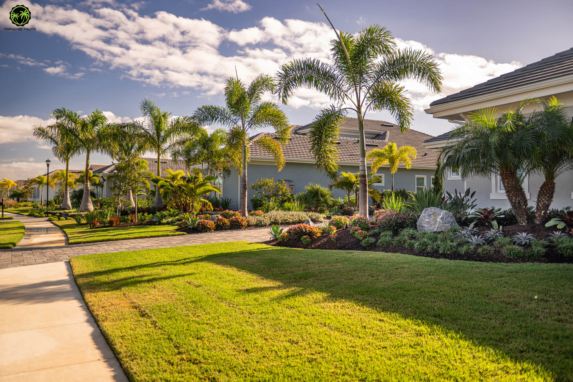 Parrish landscape gallery photo: front yard palms