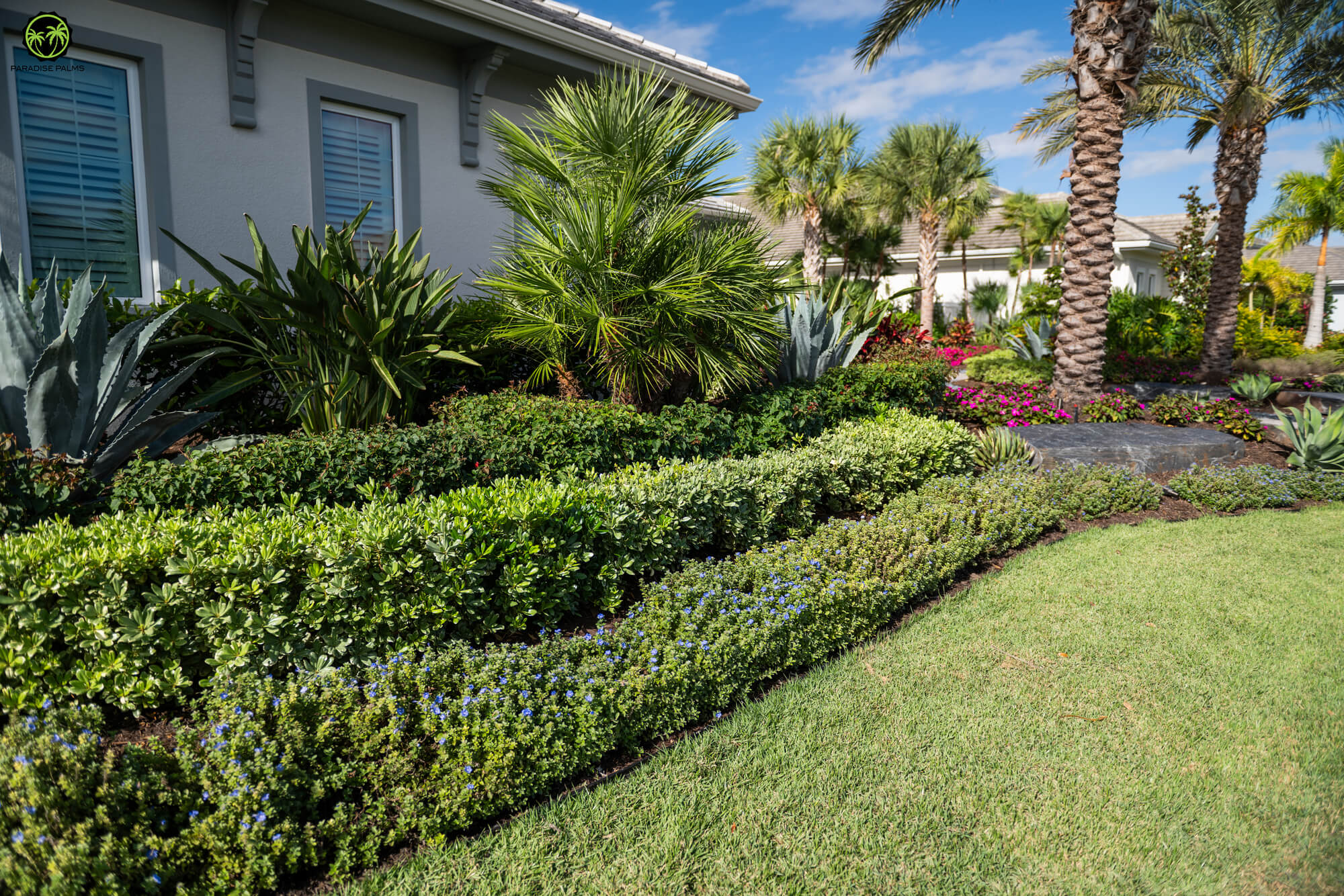 Landscape design Lakewood Ranch front yard with palms, clean bed lines, and layered plantings