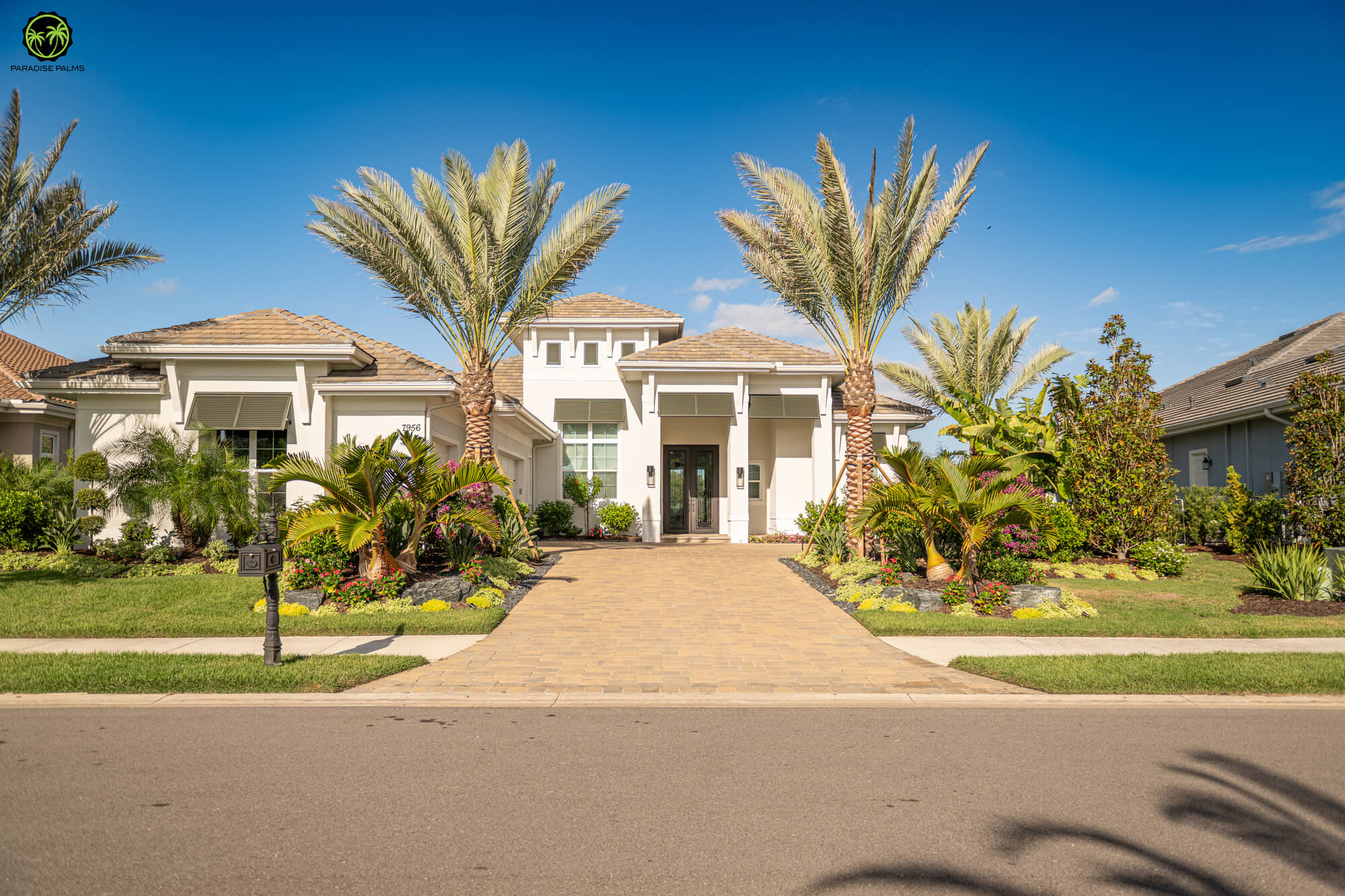 Palmetto landscape gallery photo: