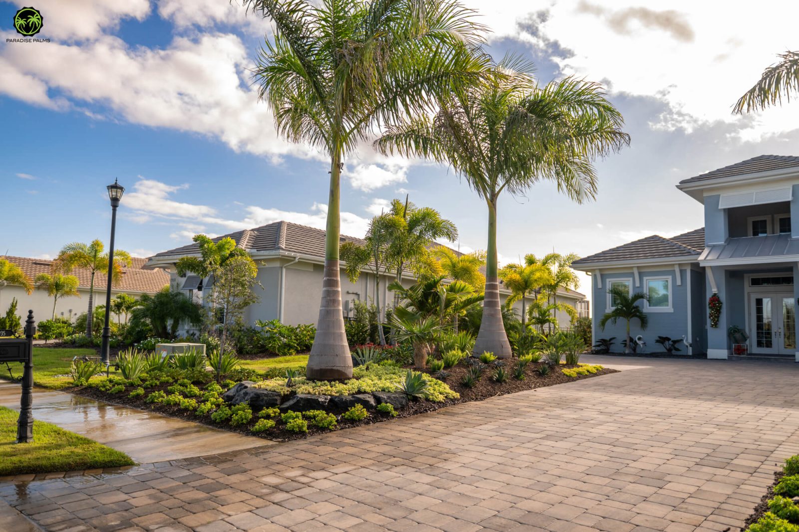 Low maintenance Florida landscaping with palms, clean lawn lines, rock accents, and tropical planting beds.